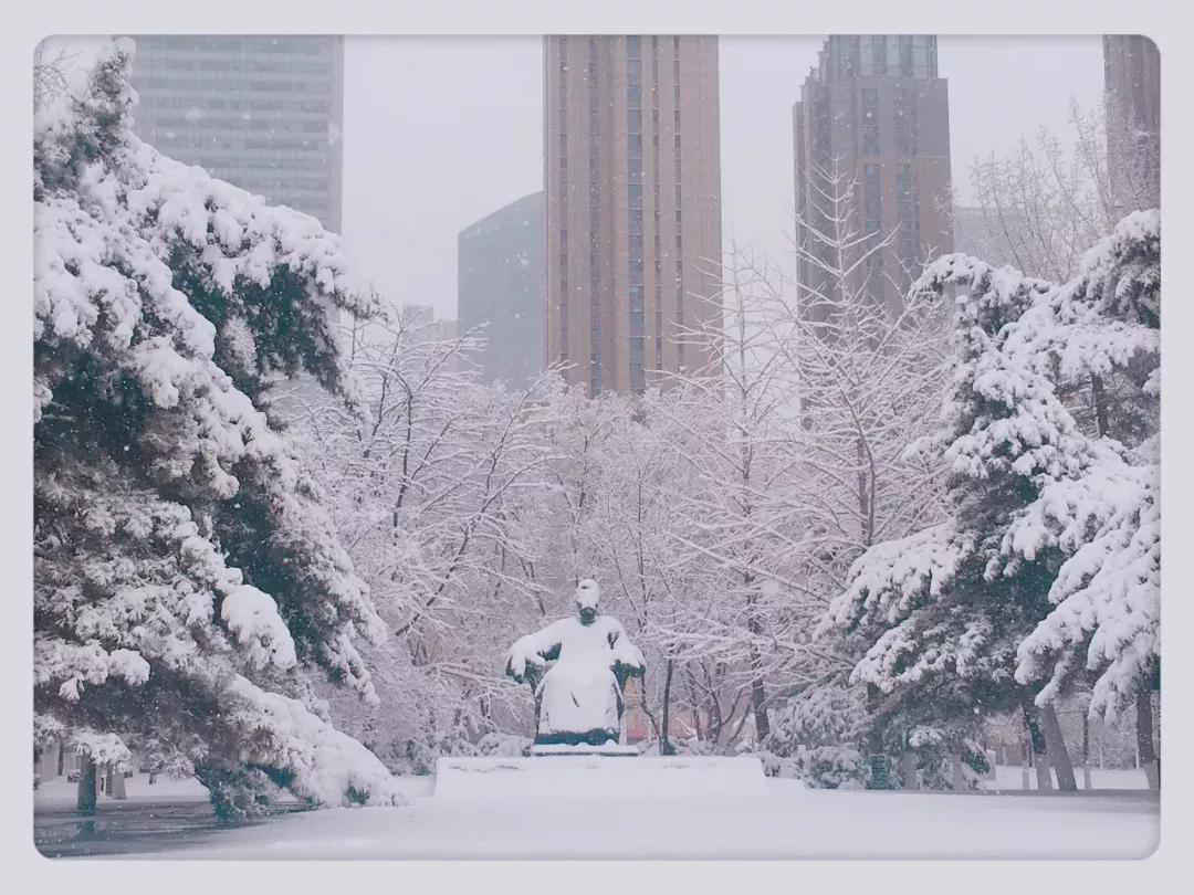 辽宁大学和鲁迅美术学院,辽宁省鲁迅美术学院是985吗