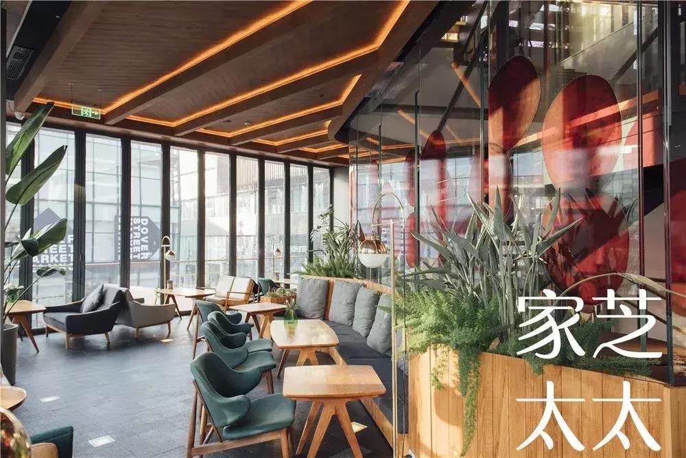 如何鉴定餐饮骗局真假,网红餐厅真实案例