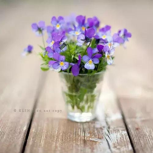 男人最大的修养是和家人和颜悦色,和颜悦色是最大的修养