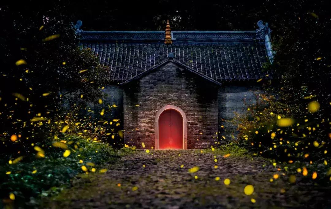 灵谷寺萤火虫7月,灵谷寺萤火虫目前还有吗