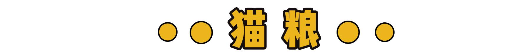 新到家猫咪需要做什么体检,猫咪到家第一夜铲屎官怎么做