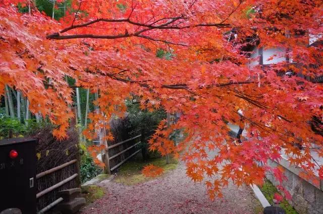 日本是一个值得一去再去、并深入探索的国家