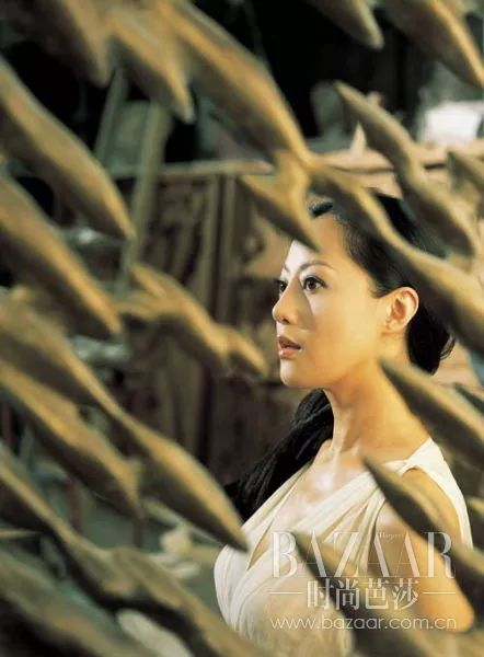 章小蕙为什么这么白,章小蕙为何能再次赢得眼球