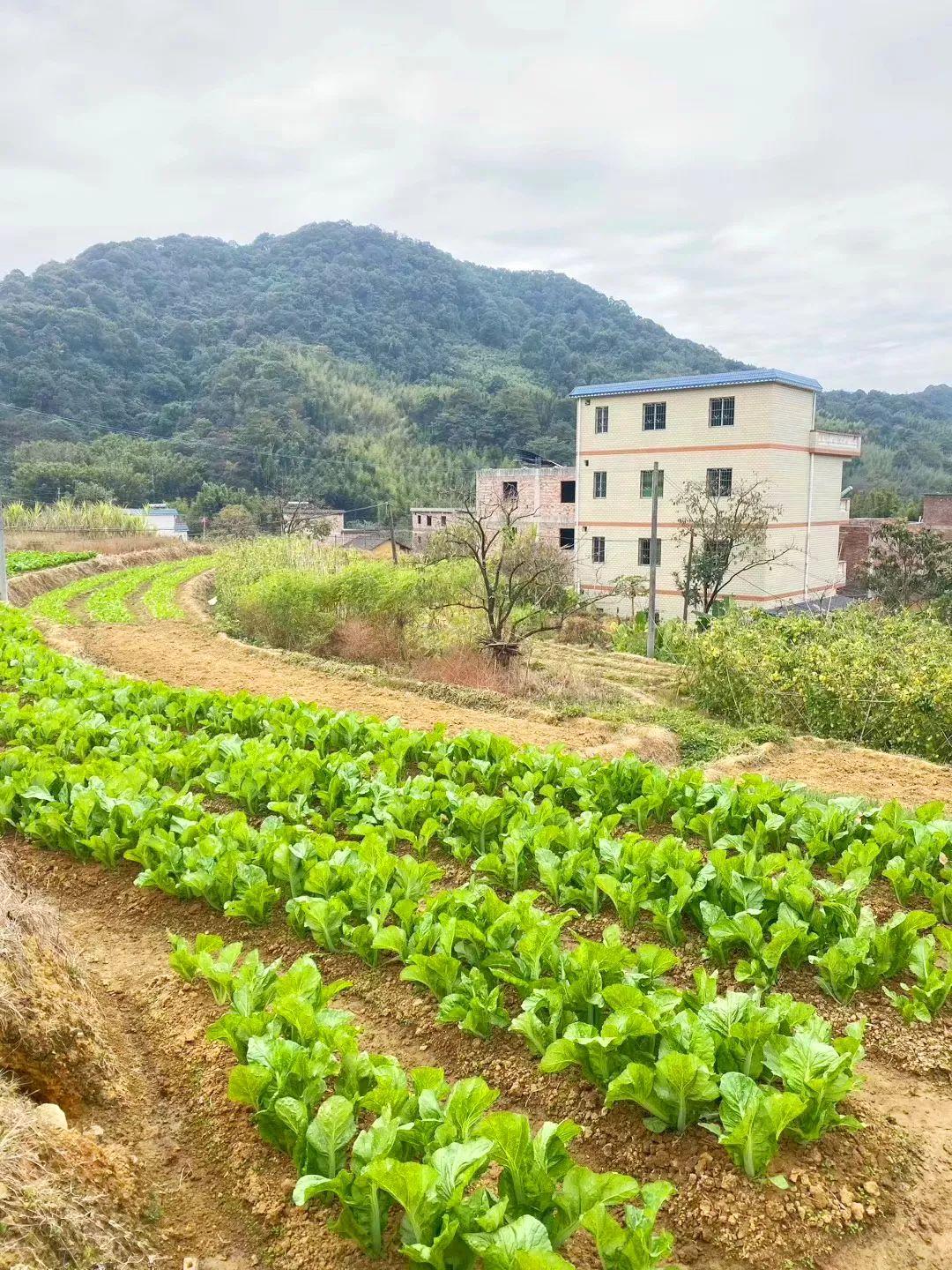 13000㎡运动餐厅，包足球场，打卡网红玻璃屋，集装箱，涂鸦楼梯