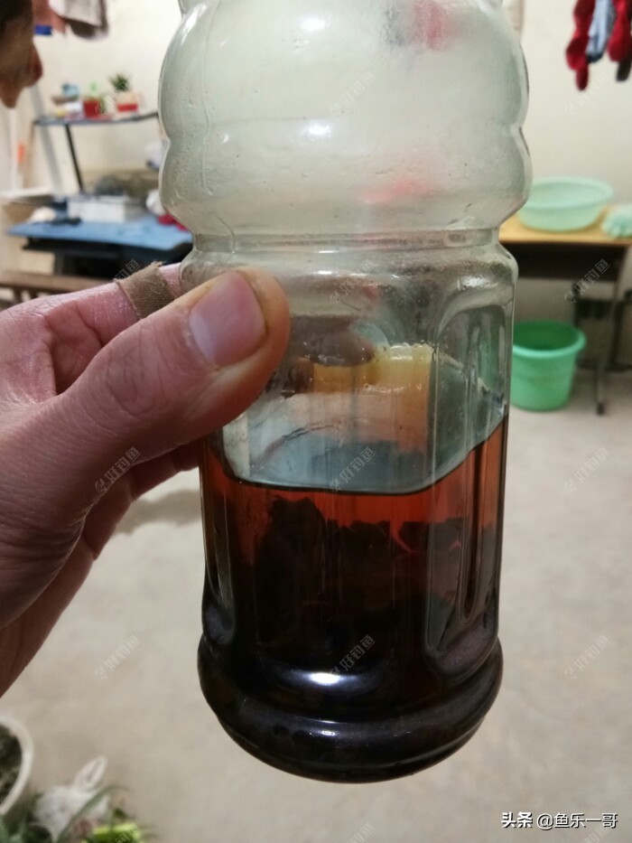 冬季黑米窝料野钓专用,钓鱼黑米打窝