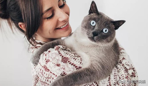 主人睡觉放屁时猫的反应,猫为什么对着人放屁