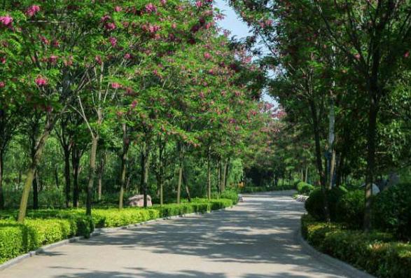 河南的李白故里,河南李白