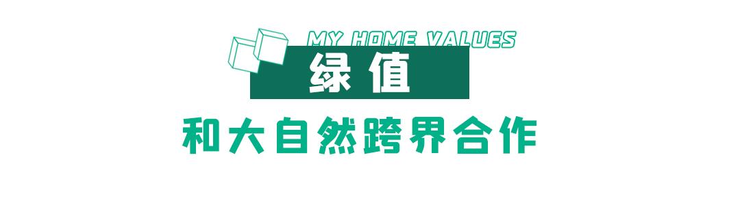 家的无限值,家的无限价值