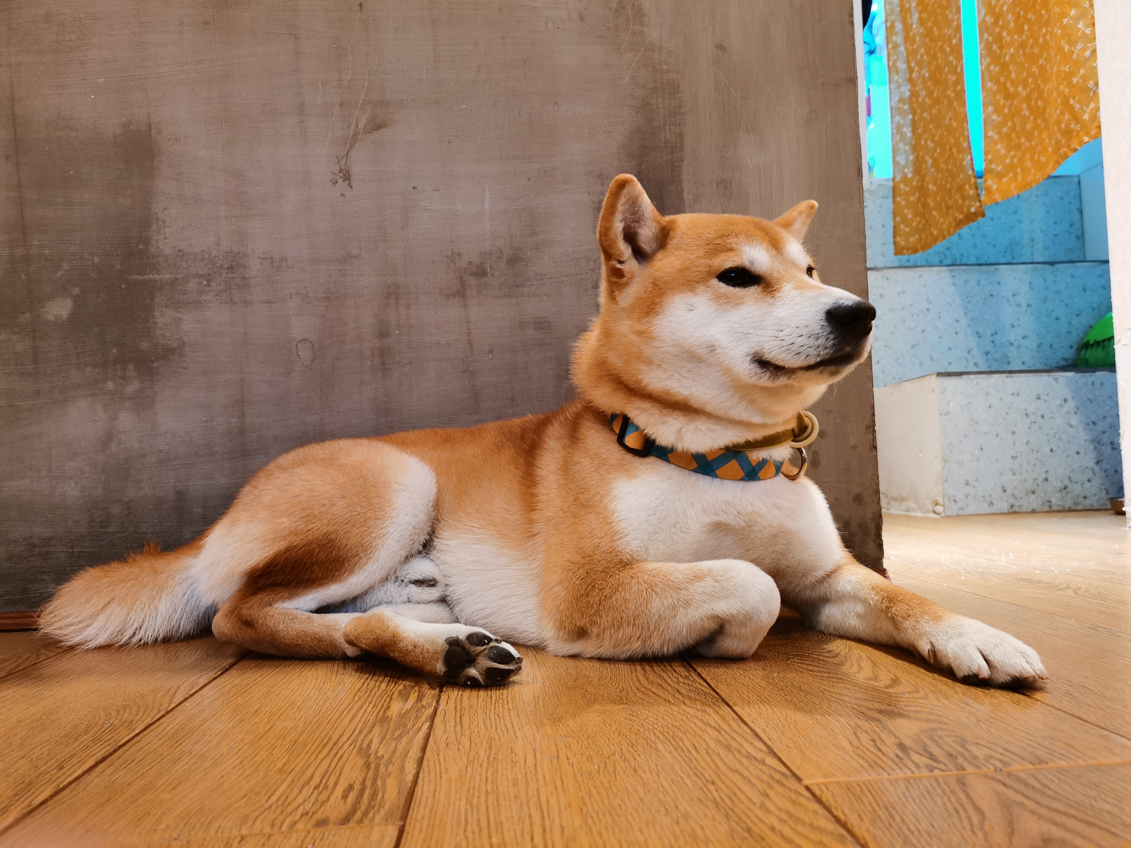 抛开情怀买三星还是华为,抛开情怀买什么手机