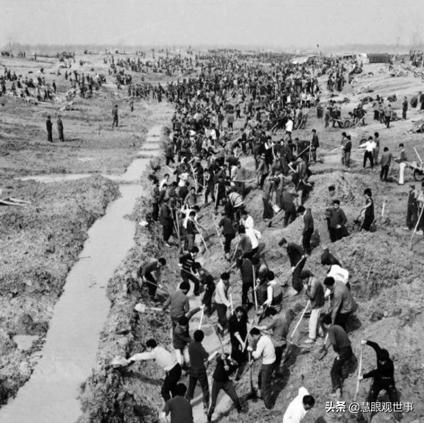 故事片透明的红萝卜完整版,透明的红萝卜有声小说免费