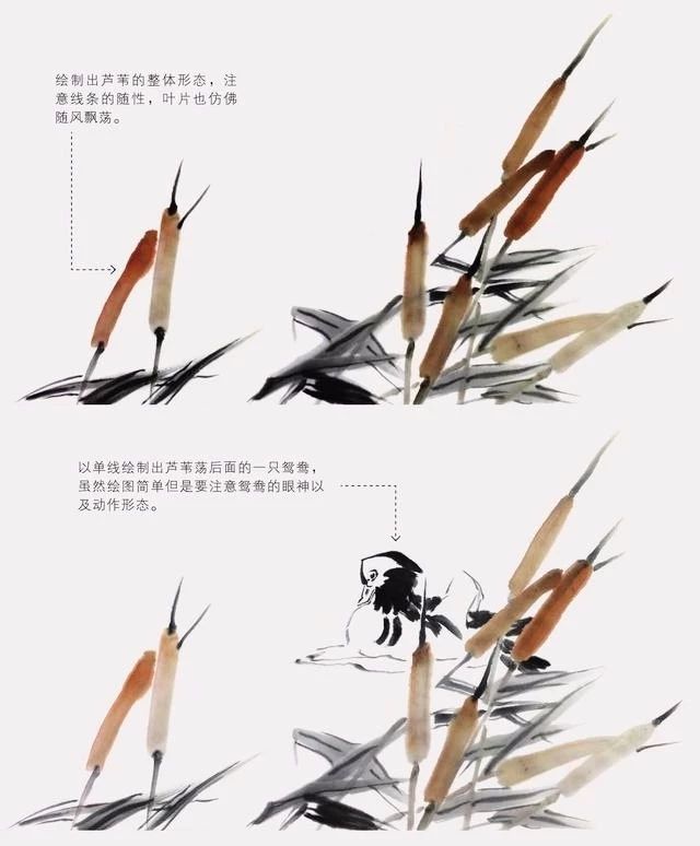 国画怎么把鸟画的活灵活现,如何画鸟要好看
