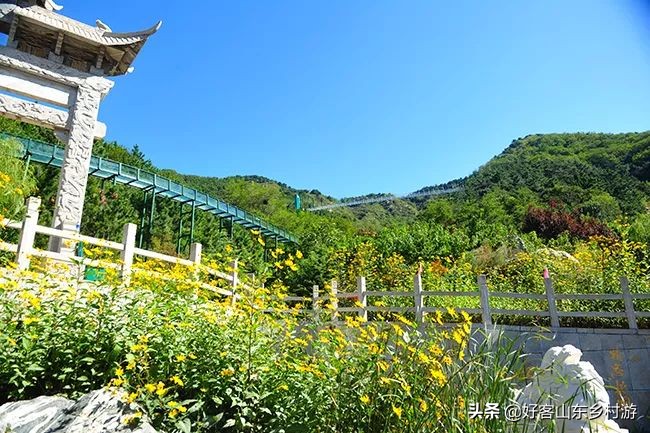 济南市五一假期游玩,济南旅游活动