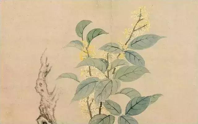 降真香引鹤下凡间,道家第一香降真香作用