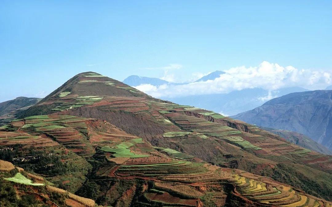 贵州乌蒙磬石和风景石的区别,乌蒙磬石奇石极品