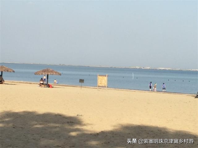 唐山乐亭旅游攻略一日游多少钱,唐山旅游乐亭祥云岛景点大全