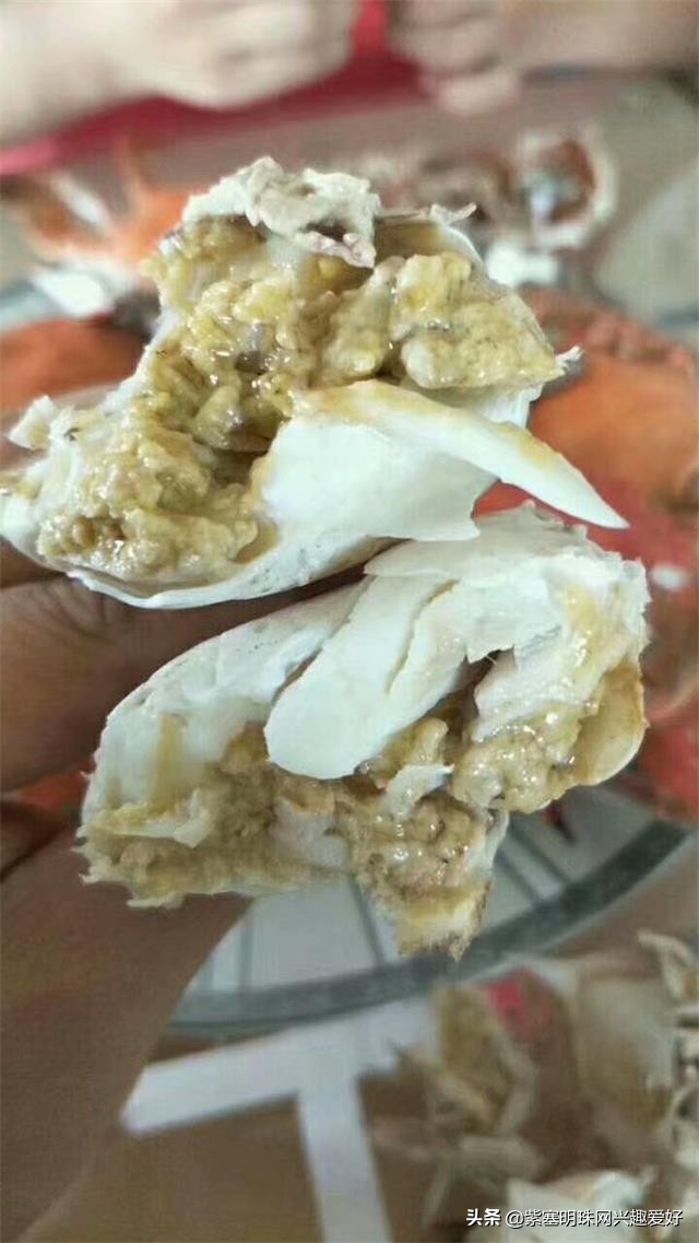 日照吴家台值得推荐的渔家乐,换一个角度感受生活中别样的美