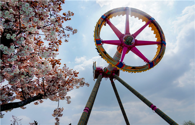 青岛市文旅大项目,青岛文旅创意项目