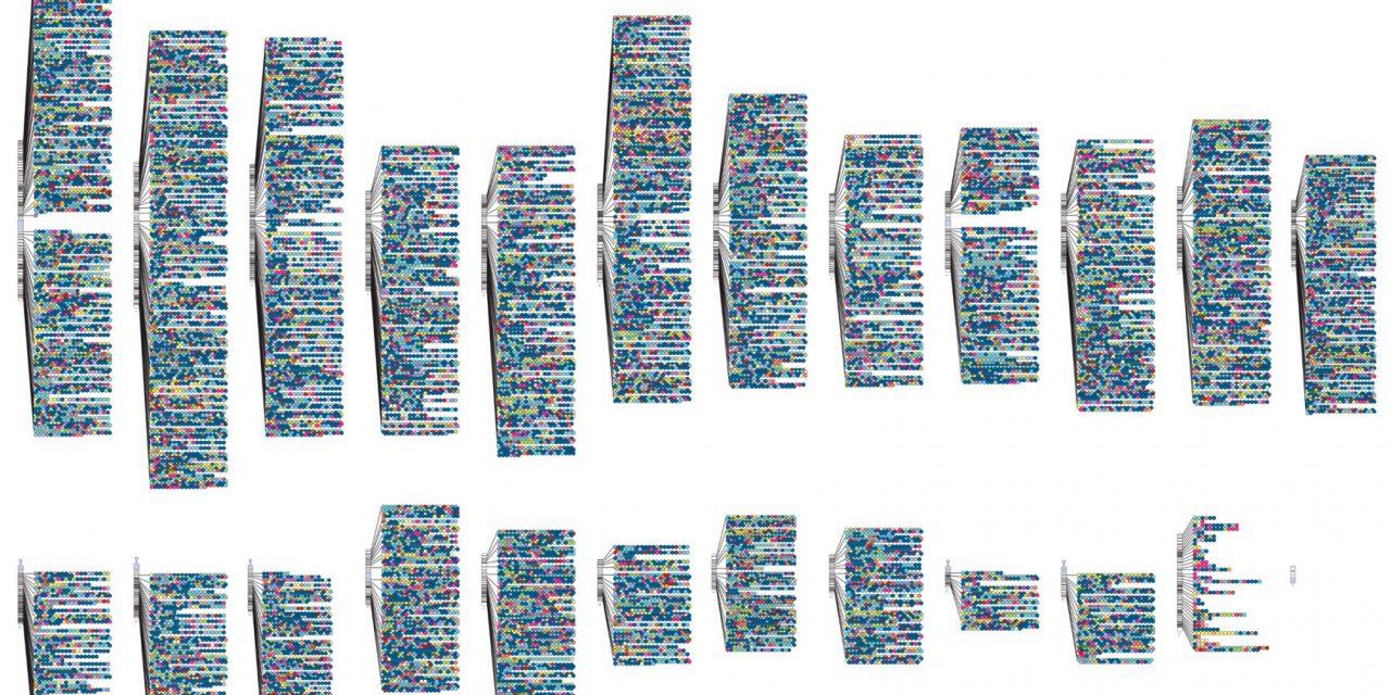 火化后的骨灰能检测dna吗,火化后骨灰中还有dna吗