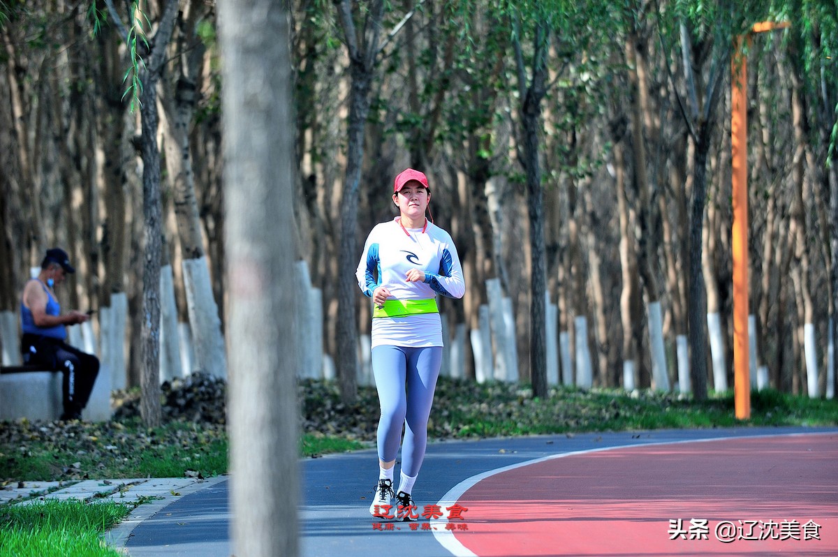 夏季沈阳游攻略必玩的景点,十一期间去沈阳玩一天攻略