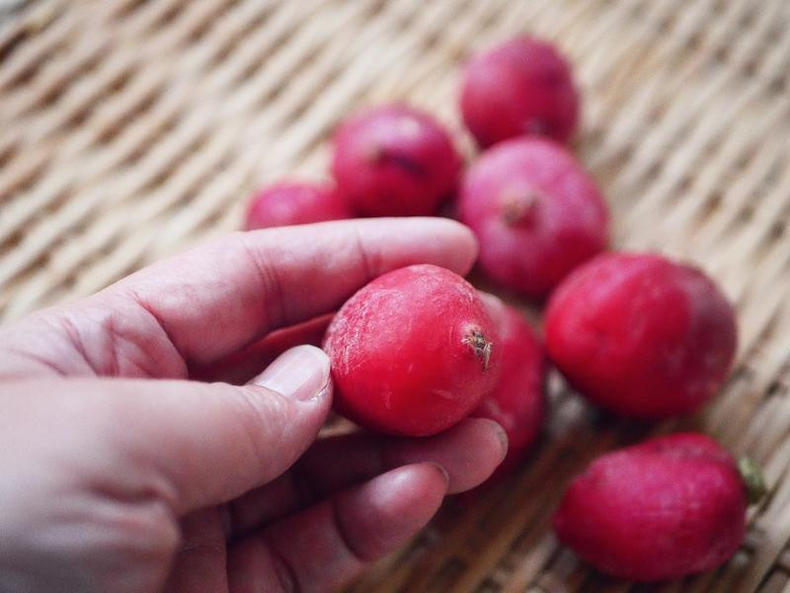 春日美美清爽美食，超简单樱桃萝卜一夜渍