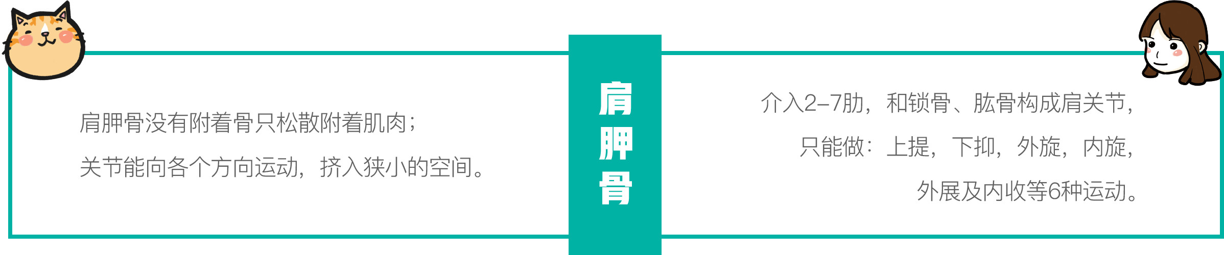 只需一个容器,你就能收获一滩“液体猫”