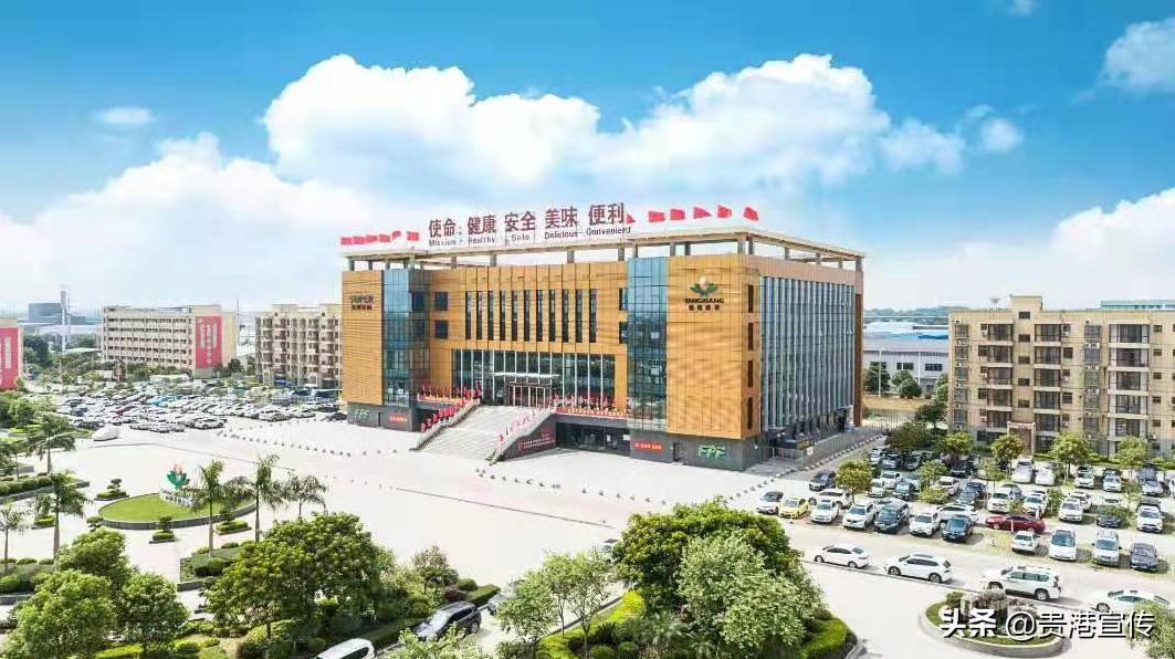 贵港市知名企业排名,贵港市500强企业排名