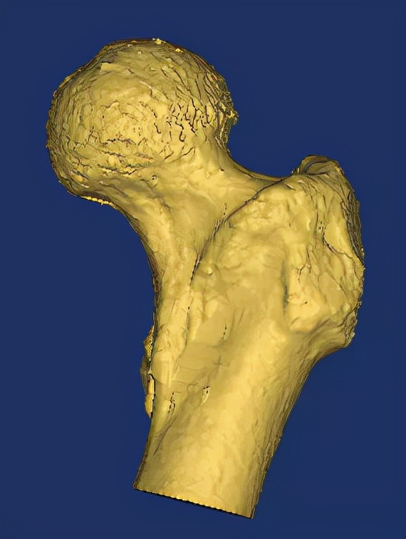 3d雕刻建模,从零基础到大师讲解