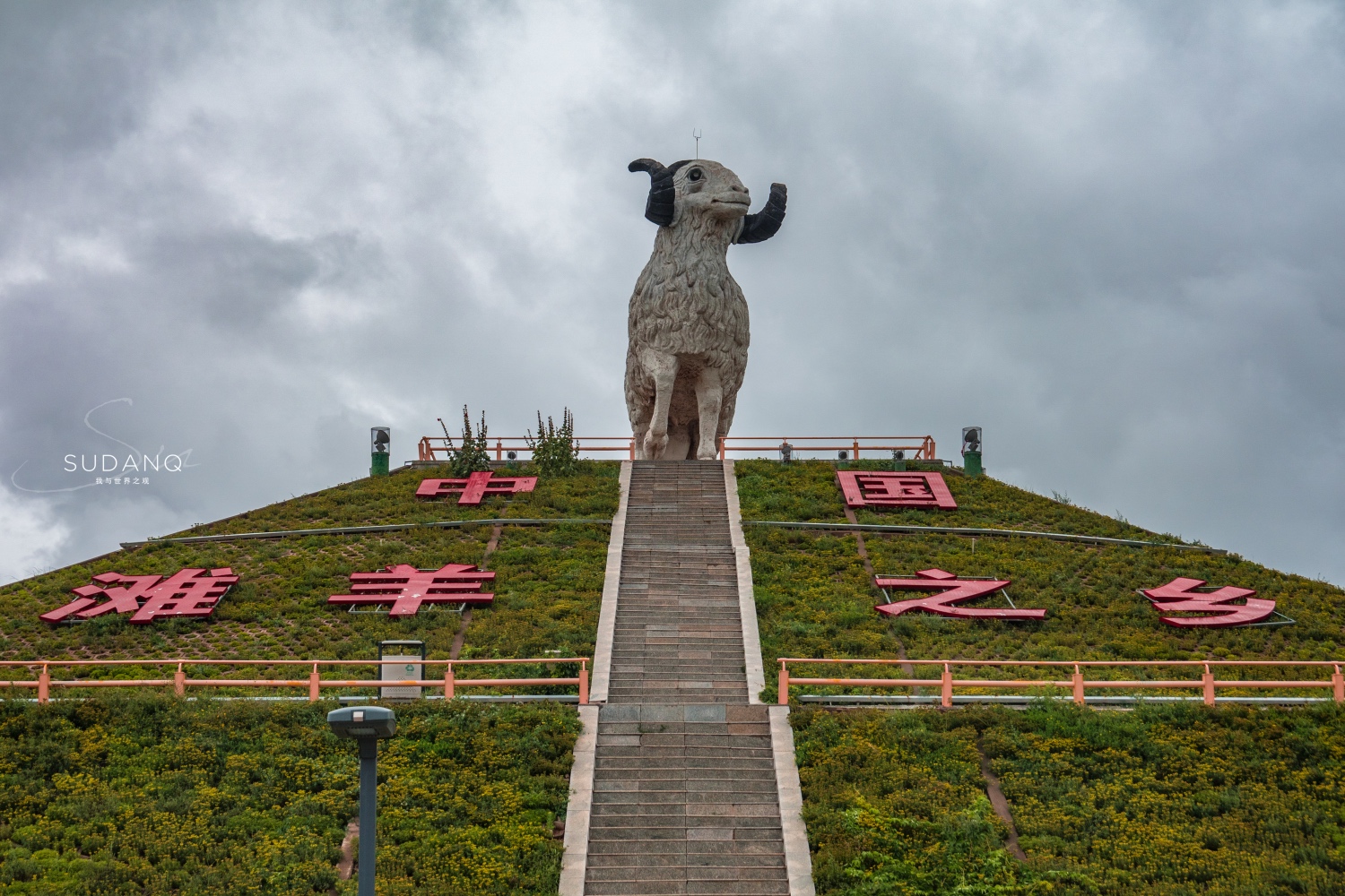 宁夏盐池滩羊肉好还是内蒙羊肉好,碰碰羊宁夏盐池羊肉