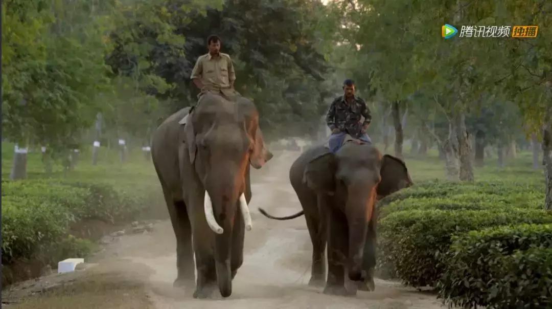 人在逆境要懂得坚持,面对逆境向阳而生