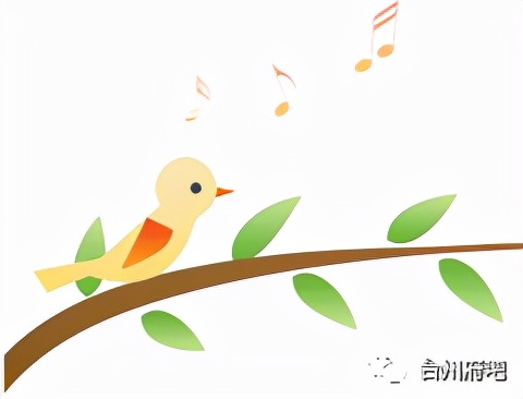 台州植物园二期项目,台州植物园最新视频