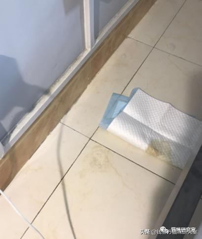 小猫拉稀原因分析,小猫跑肚拉稀怎么办最快最有效