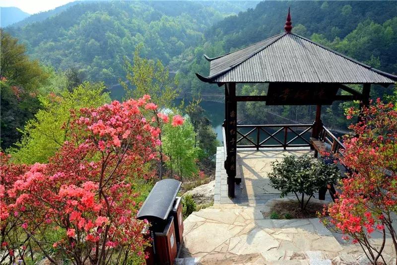 住在黄陂的人好幸福,住在黄陂的人真的很幸福吗