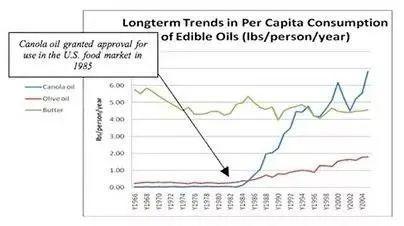 多吃能增加抵抗力吗,多吃一点是不是能增强体质