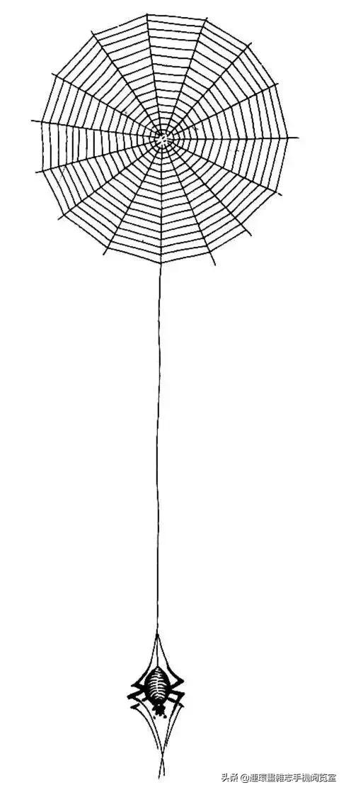 中国传统吉祥图案全集,中国传统纹样与吉祥图案论述