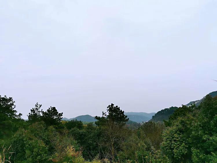 华容县景点排名,华容风景排名