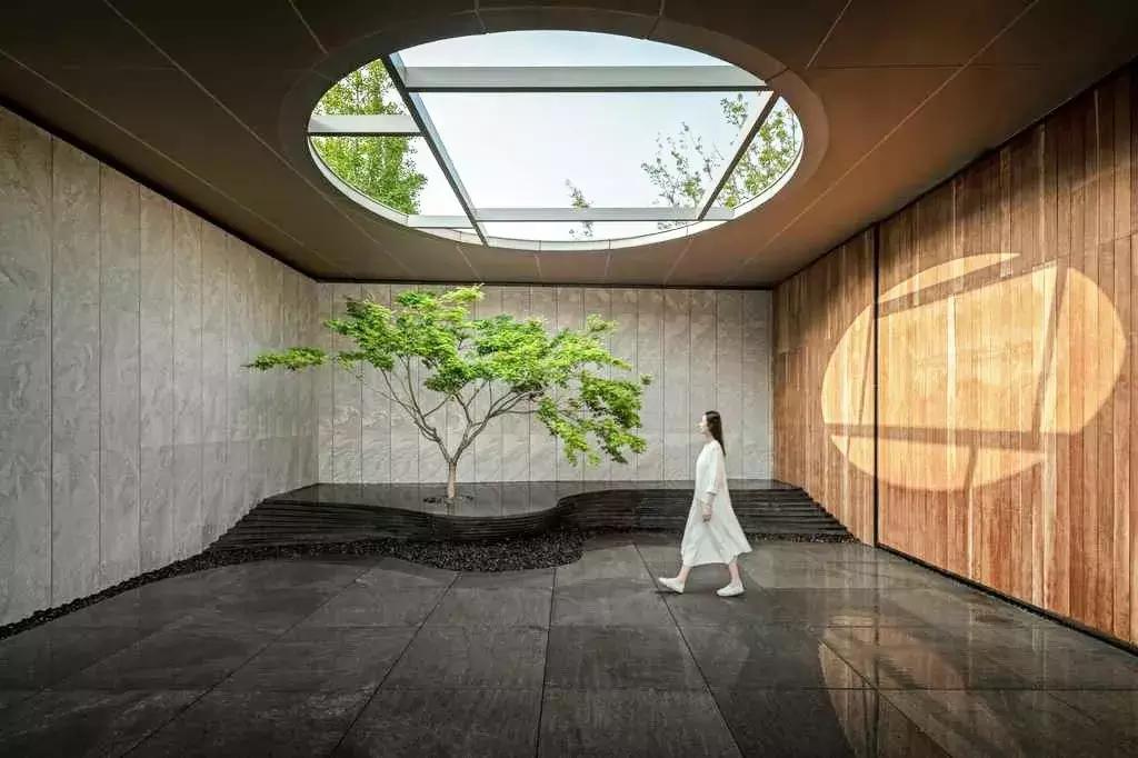 当景观遇上设计,当景观植物遇见灯光