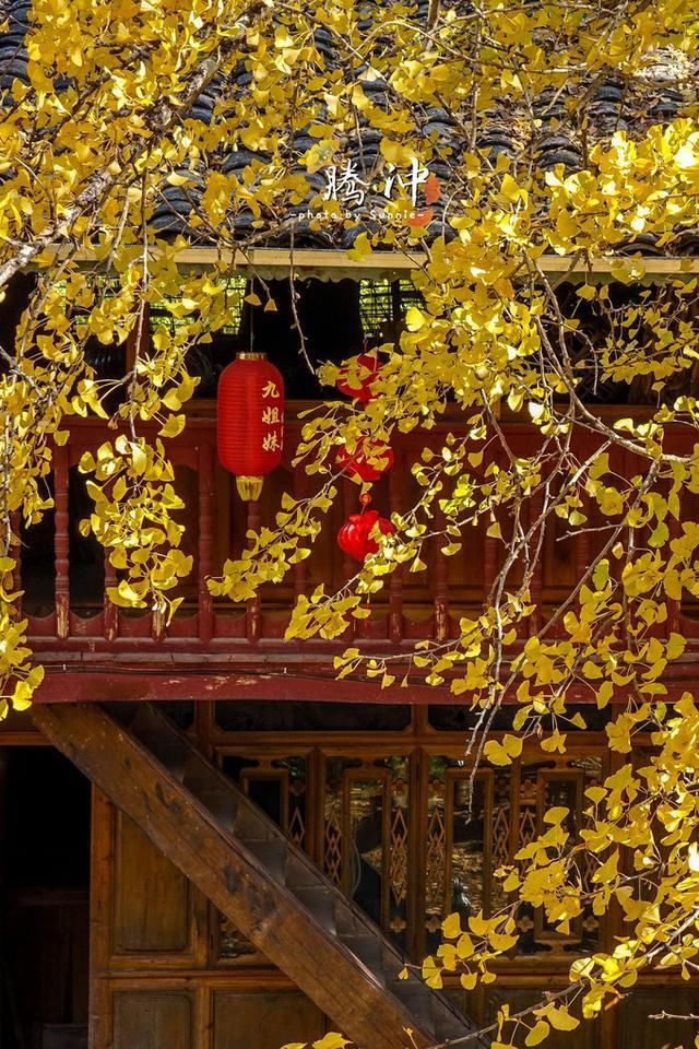 邂逅秋的王国：腾冲，你已在我心间