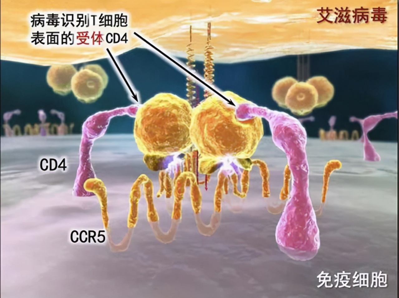 艾滋病出现皮肤变化就是艾滋病吗,艾滋病的早期表现别以为是皮肤病