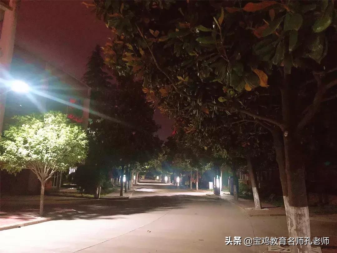 从a到z的小说,从a到z完整版