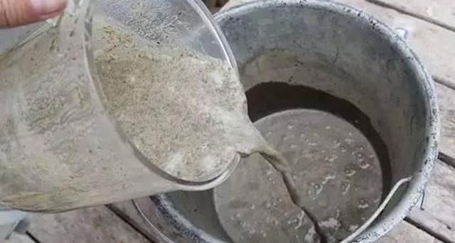 小苔藓微景观,小苔藓盆景怎么养殖