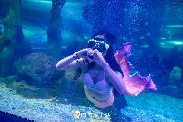 全国唯一真实大海做背景,福建海边这艘“船”里面藏海洋世界!