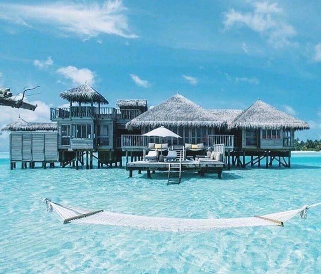 励志说明你还不够努力,励志努力不需要理由