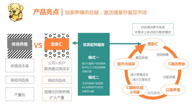 宠物经济新方向“萌宠频道”幕后操盘手ALEX