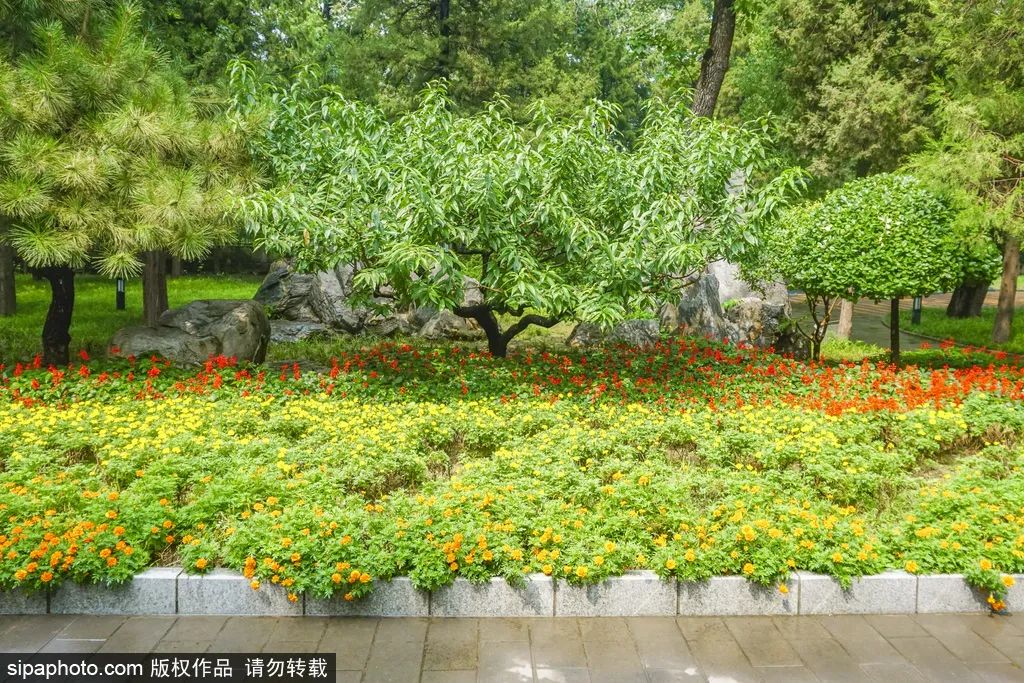 一个地铁站三条线,地铁边的吃喝玩乐