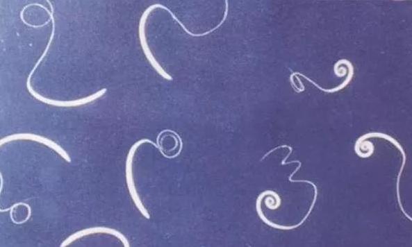 罗威纳幼犬狗粮怎么吃才好吃,戈赞宠物狗粮