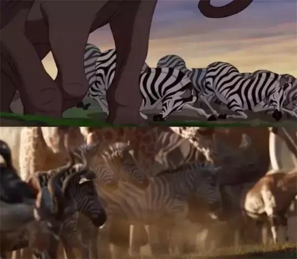 为什么每个人都要看一遍狮子王,狮子王主要告诉我们什么道理呢