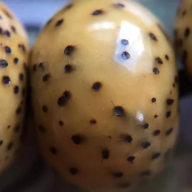 最完美包浆的文玩,不盘就能包浆的几种文玩