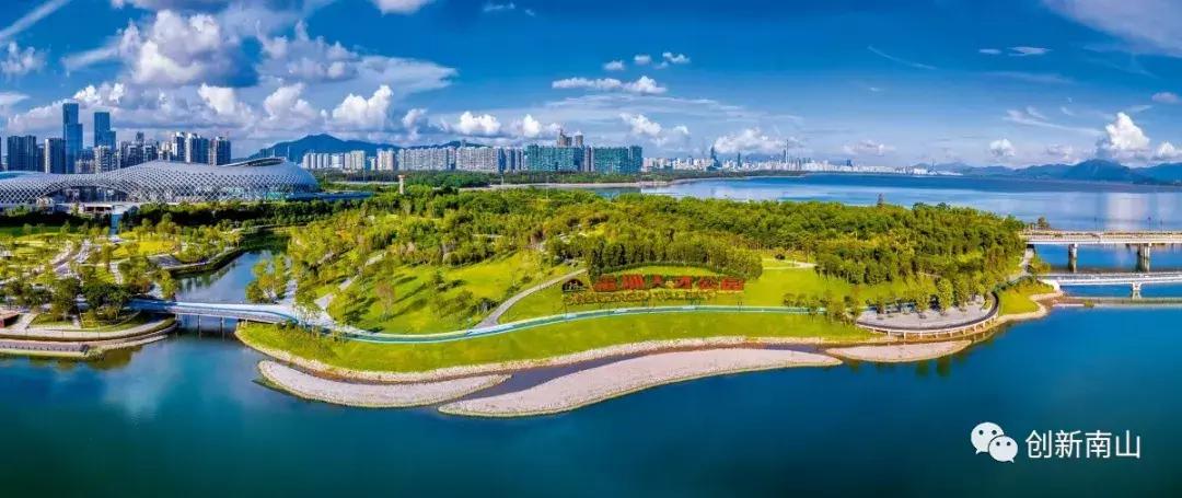 南山区为什么发展这么好,南山为什么是富人区