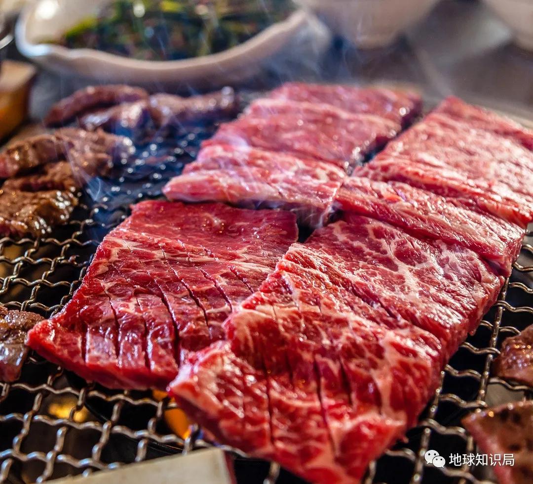 正宗朝鲜烀狗肉的方法,朝鲜风味狗肉