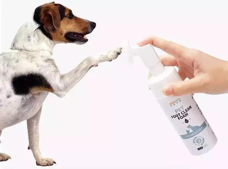 狗狗肉垫护理视频,夏季狗狗冰垫